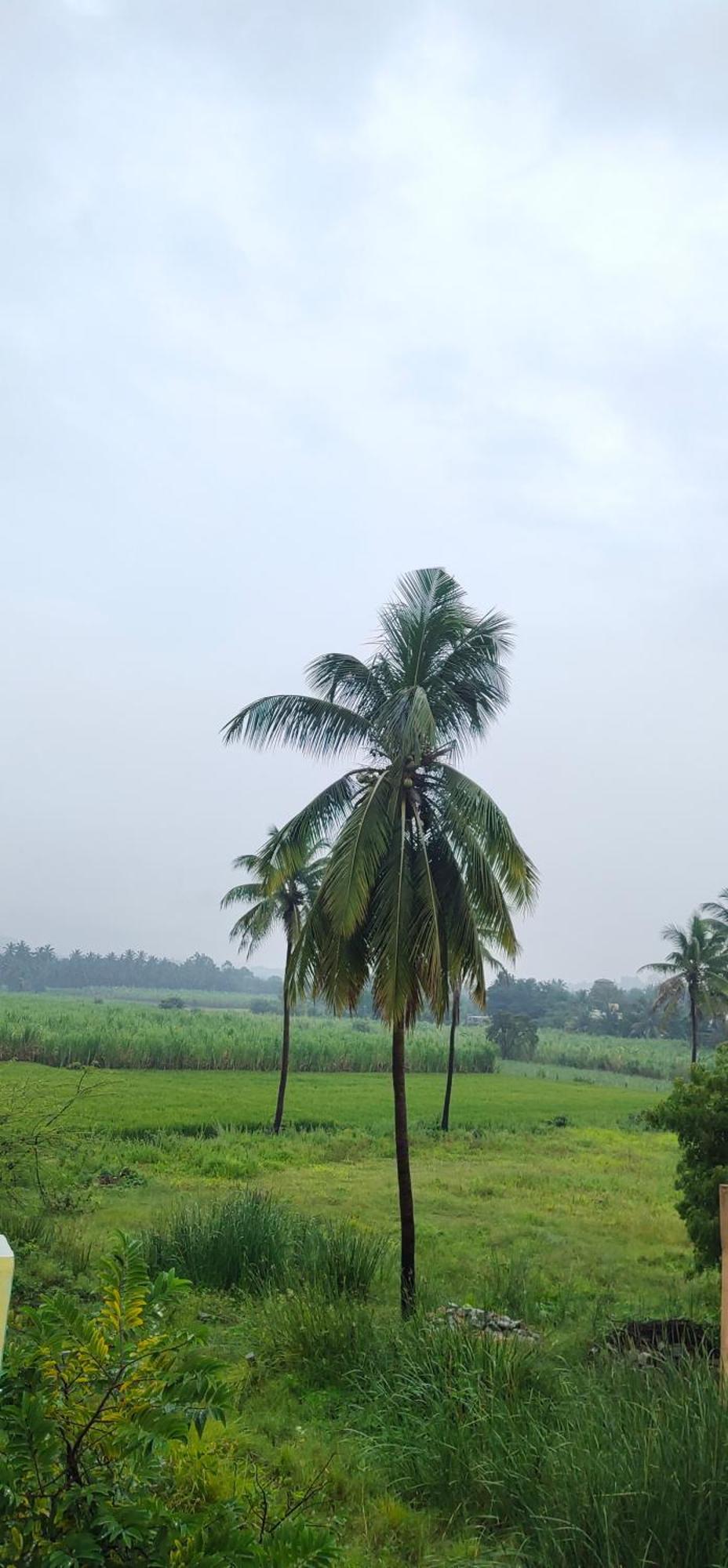Raj Homestay ฮัมปี ภายนอก รูปภาพ